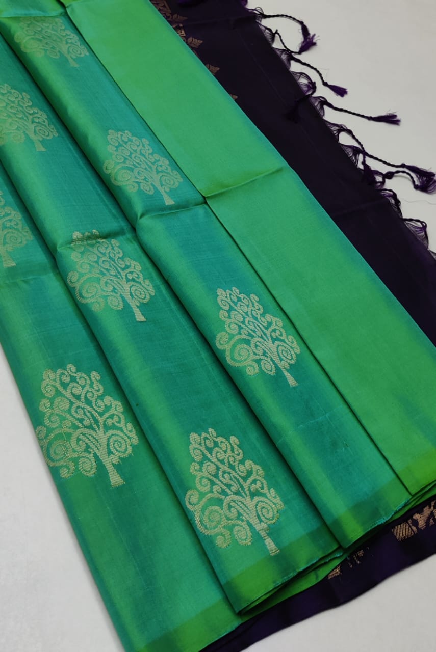Pure handloom Double warp soft silk saree
Without border