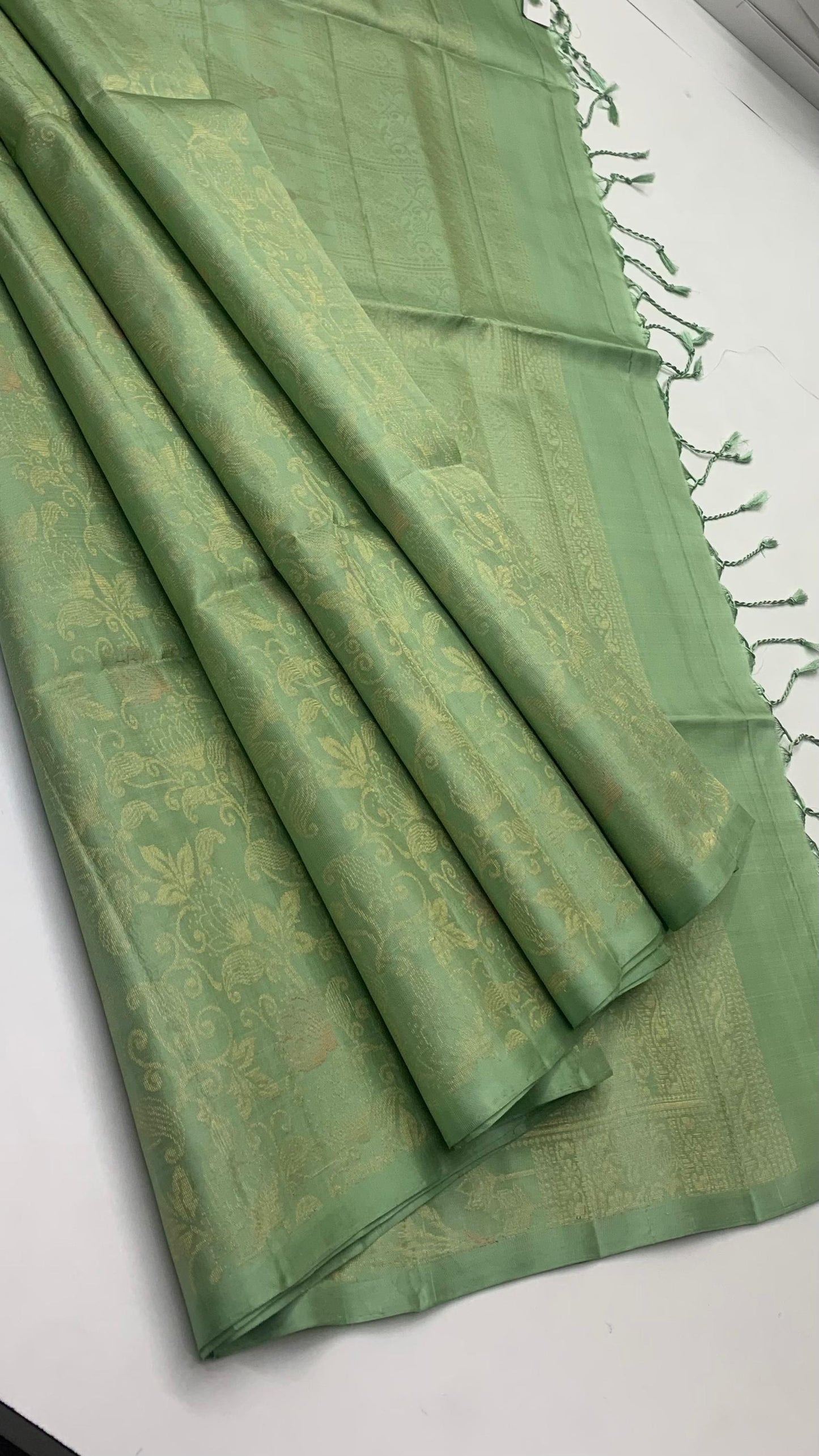 Pure handloom borderless  Bridal Double warp soft silk sarees collections