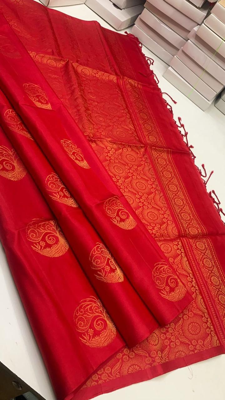 Pure handloom borderless Double warp soft silk sarees collections with self colour contrast Pallu and blouse