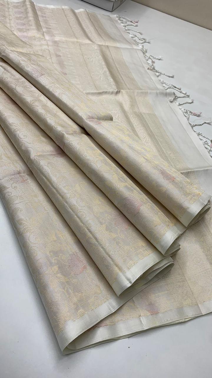 Pure handloom borderless  Bridal Double warp soft silk sarees collections