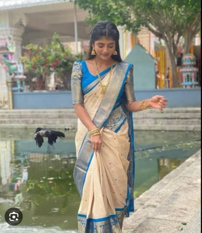 Kanchipuram Handloom pure silk saree
Beautiful fancy Design