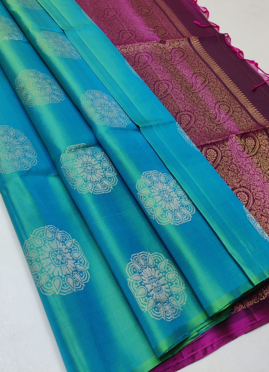 Pure handloom Double warp soft silk saree
Without border