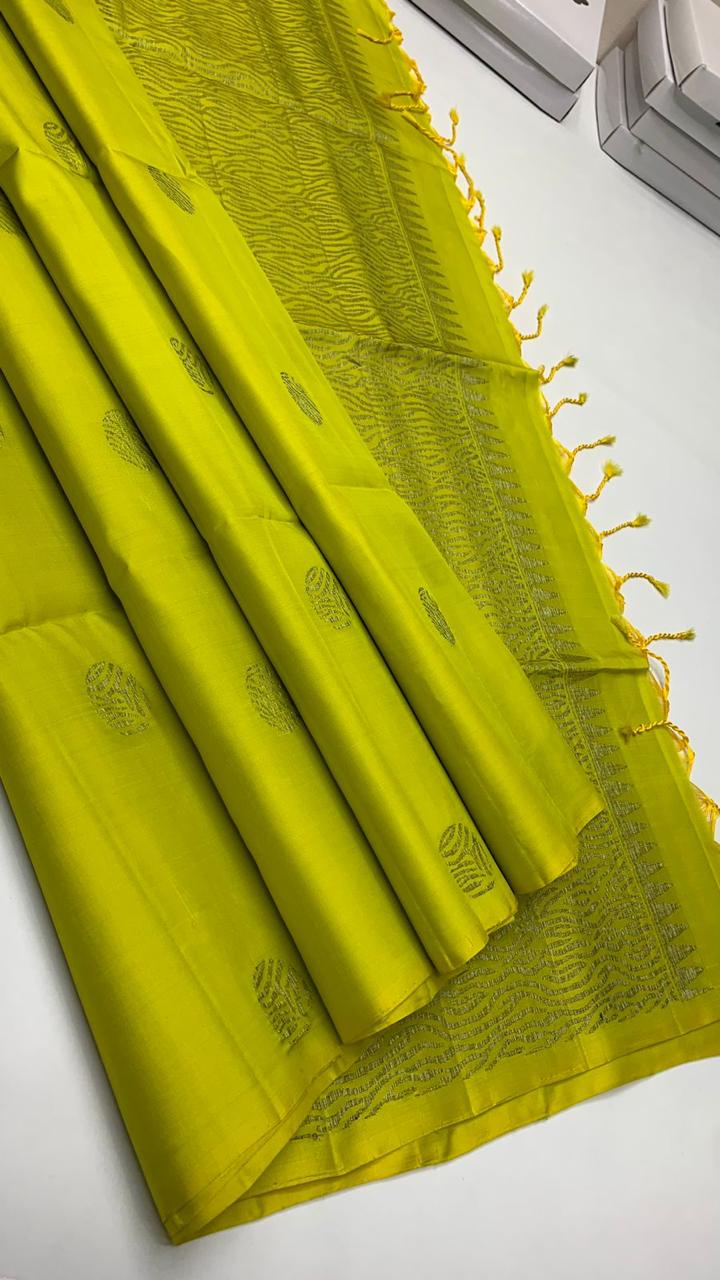 Pure handloom borderless Double warp soft silk sarees collections with self colour contrast Pallu and blouse