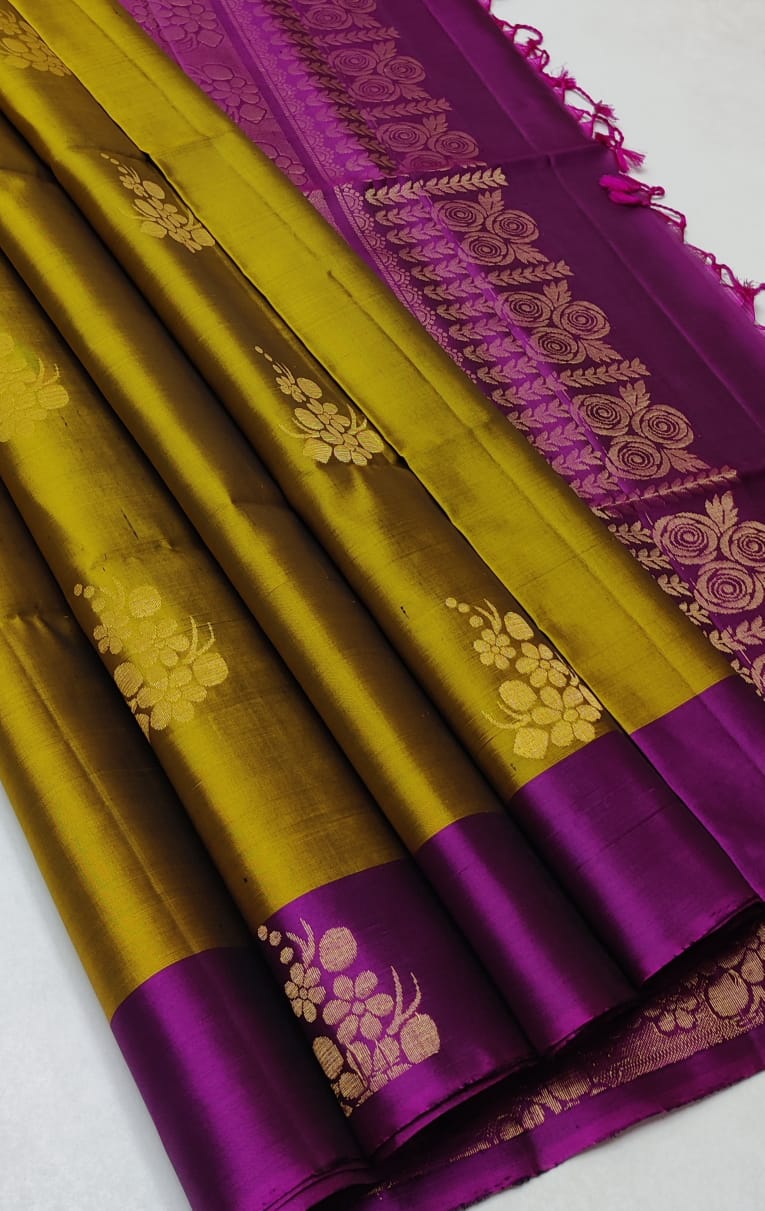 Pure handloom Double warp soft silk saree
Without border
